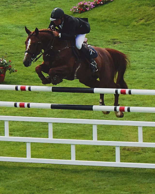 Cavaleiro saltando obstáculo no hipismo